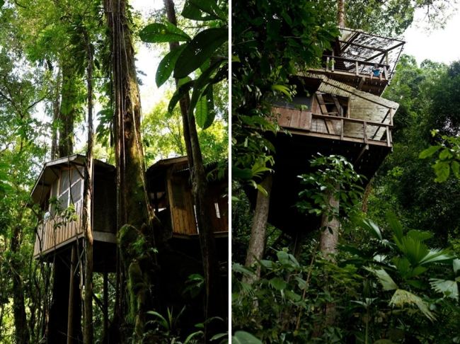منزل شجرة الخشب على ركائز متينة في الغابة غابة كوستاريكا