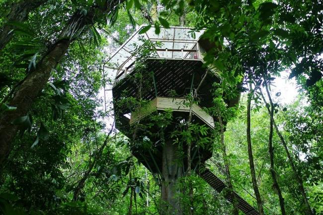 منزل شجرة حديث - يمكن الوصول إليه عن طريق السلالم - كوستاريكا