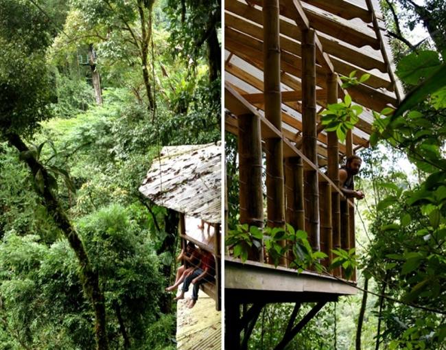 بناء منزل على الشجرة - حلول معمارية - مستدامة في الغابة
