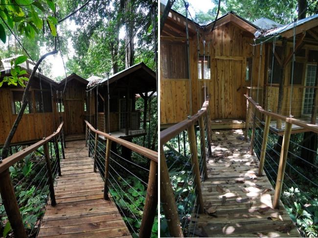 Rainforest Costa Rica Settlement Private Retreat Place Forest