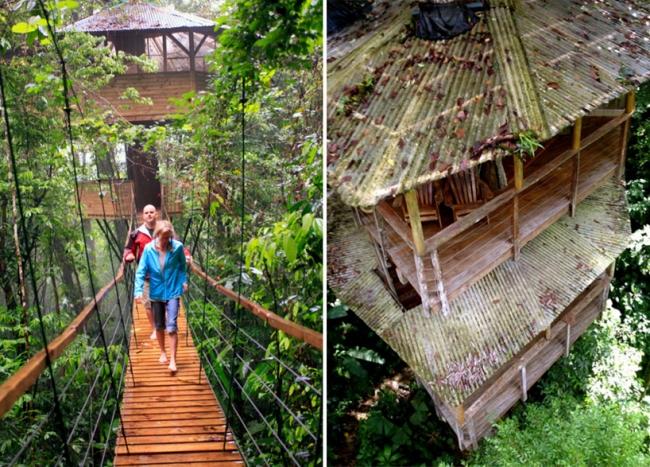 Tree House Complex Costa Rica Rainforest Rope Bridges Connection. ربط الجسور بحبل الغابات المطيرة بكوستاريكا