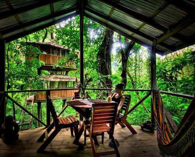 العيش بالقرب من الطبيعة منزل غابة كوستاريكا