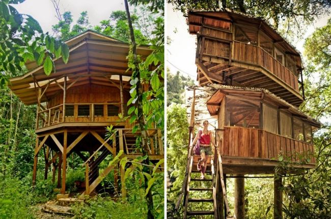 بناء منزل متين- Finca bellavista-Hotel Costa-Rica غابة
