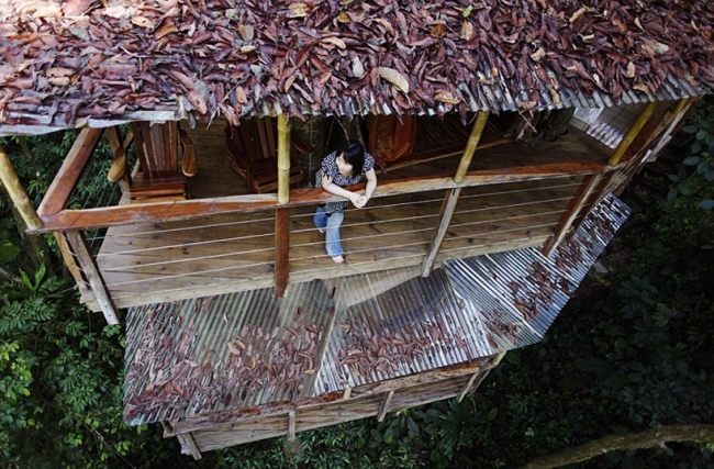 بين عشية وضحاها في منزل شجرة بناء غابة كوستاريكا
