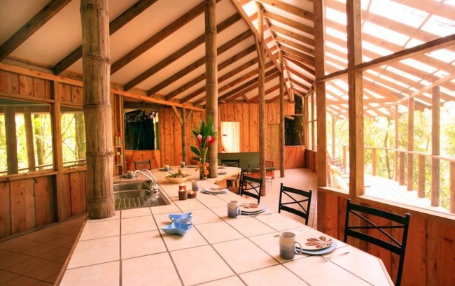 منزل على شكل شجرة منزل كوستاريكا غرفة طعام مفتوحة