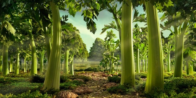 منظر غابة الكرفس خضروات طعام مجموعة كارل وارنر