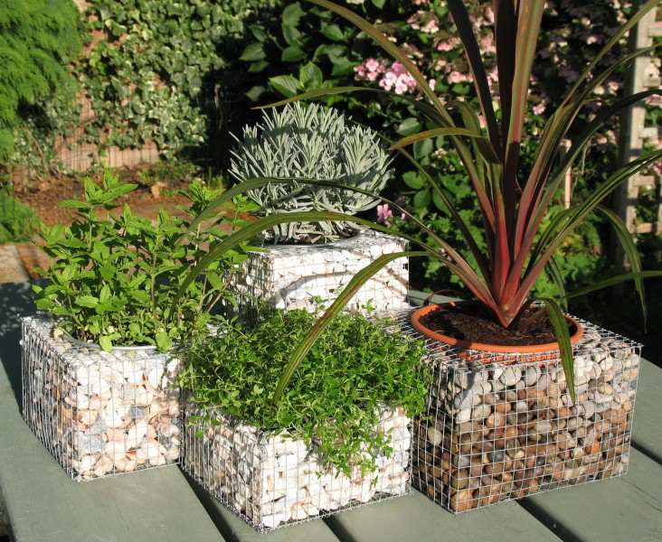 جدار التراب - حديقة - تصميم - ديكور - زهور - نباتات بوعاء - خضرة