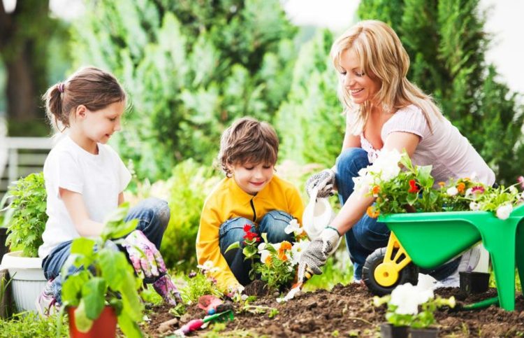 انشاء حديقة للاطفال بستاني - هواية - ربيع - بذر