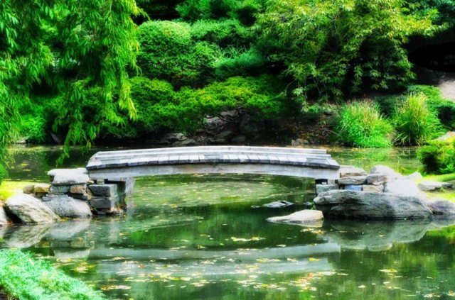 جسر الحجر مقاعد البدلاء حديقة النباتات المائية الأشجار الطويلة