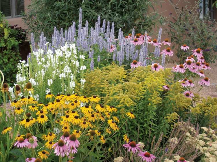 تصميم حديقة ملون-مرج-ريفي-ستايل-رقيق-ألوان-وردي-بنفسجي-أصفر