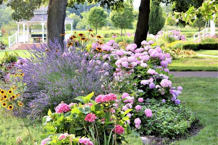 نصائح أساسية لمعدات الحدائق لسرير الزهرة