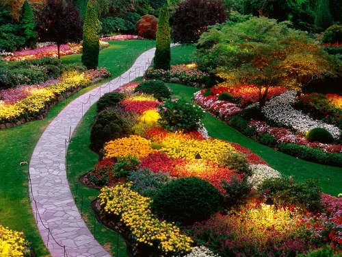 إنشاء حديقة جديدة ملونة ورائعة ورائعة والعديد من الأصناف المختلفة