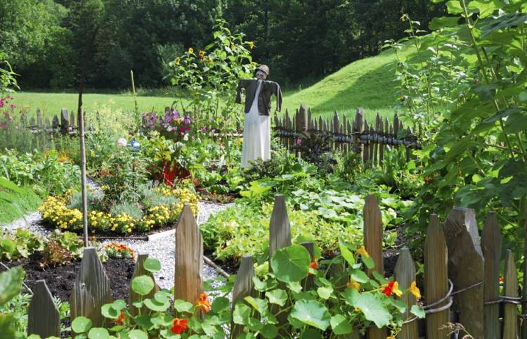 تخطيط حديقة الخضروات فزاعة رعاية السياج الخشب