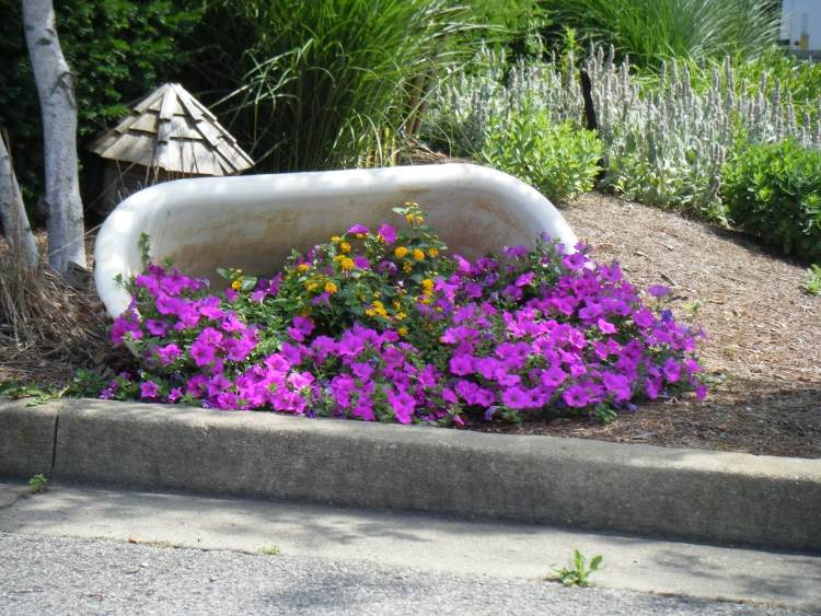 تزيين الحدائق من-الأشياء-القديمة-حمام-زهور البتونيا