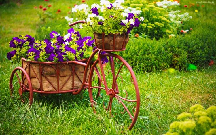 تزيين الحدائق-الأشياء-القديمة-الدراجة-سلة الزهور