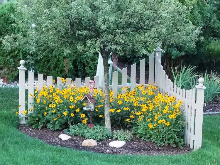 ركن حديقة الشكل زرع الزهور الصفراء السياج الأبيض