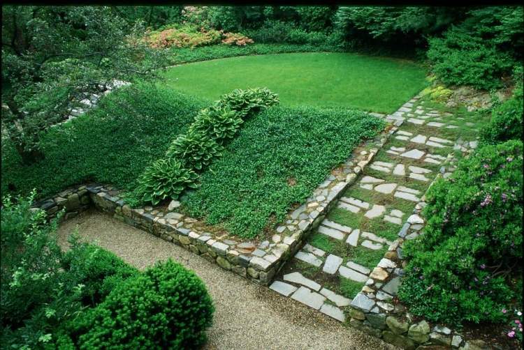 حديقة-تصميم-منحدر-زرع-دائم الخضرة-غطاء أرضي-فونكيا-هوستا