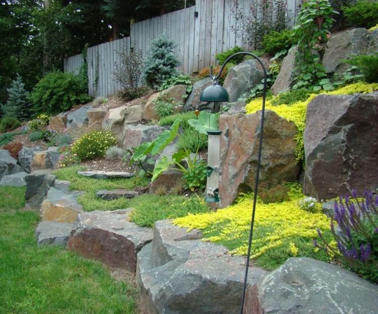 تصميم الحديقة - المنحدر - الصخور - الغطاء الأرضي - الأصفر - الجدار