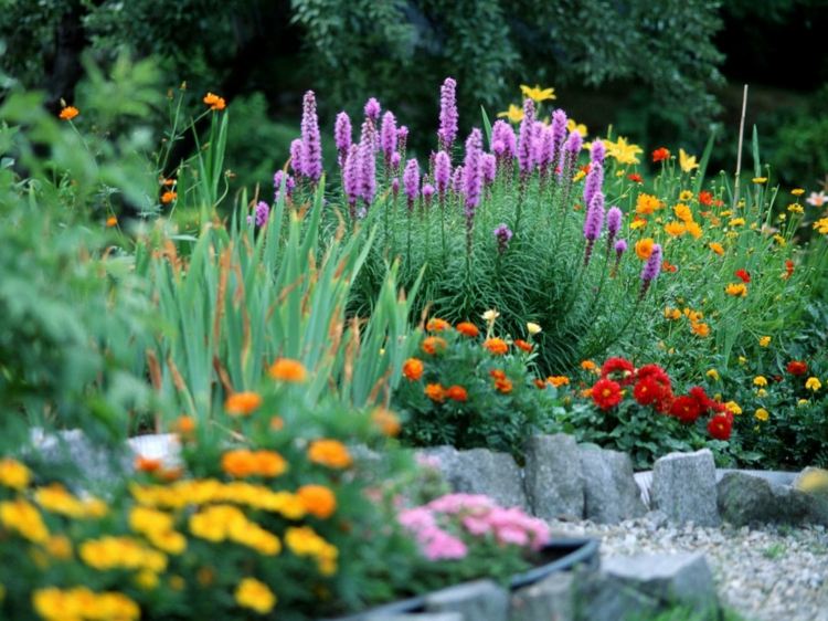 صور تصميم حديقة مرج - نظرة - زهور - أفكار - ألوان - ألوان