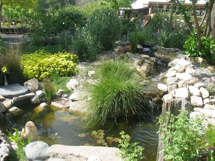شلال حديقة البركة تصميم فكرة graeser النباتات الحجارة