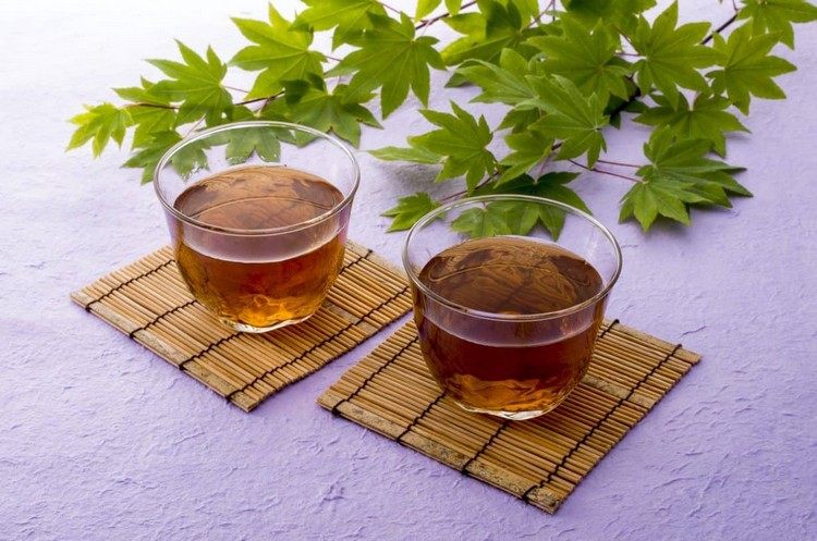 تأثير شاي الشعير شاي التخسيس التخلص من السموم