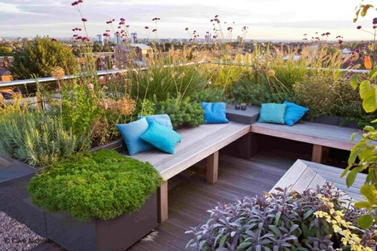 عشب شرفة تصميم حديث ربيع نباتات عشب