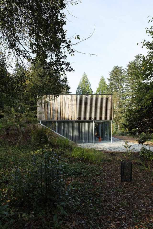 منزل العمارة الغابات الطبيعة الخضراء الهواء النقي