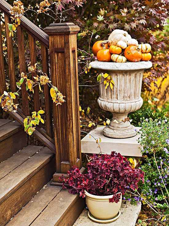 تزيين السلالم - القرع الصغير - في مزهرية أرضية بأزهار الخريف باللون الأرجواني