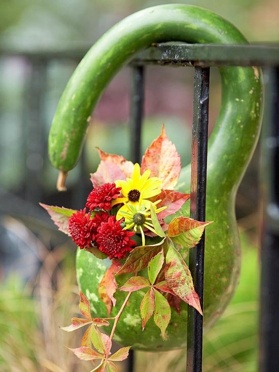 مزهرية زهرة اليقطين للزينة - جو خريفي أخضر على درابزين معدني للشرفة