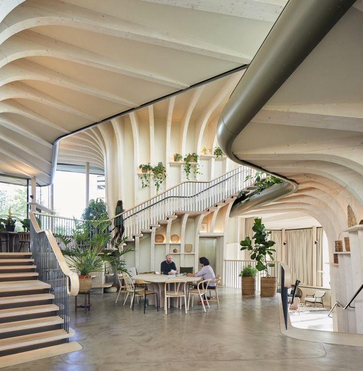 سقف خشبي منحنيات داخل مركز صحي في المملكة المتحدة