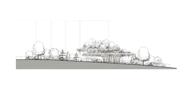 بناء مستدام لمركز صحي حديث في ليدز بسقف مزروع وهيكل خشبي