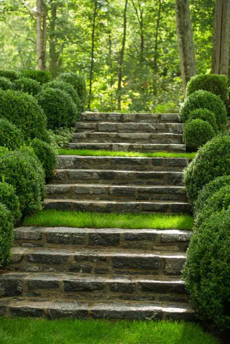الطراز الأوروبي القديم - تصميم الحدائق - السلالم - العشب - البقس
