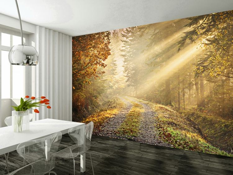 جدار صور خلفيات مسار الغابات فكرة غرفة الطعام الباركيه الرمادي