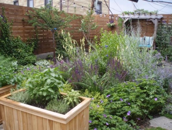 أفكار تحول تصميم الحديقة من حديقة أحواض خشبية