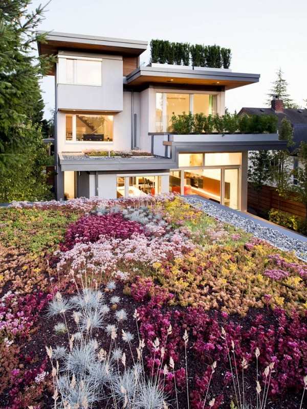 منزل مستدام أخضر واسع على المرآب