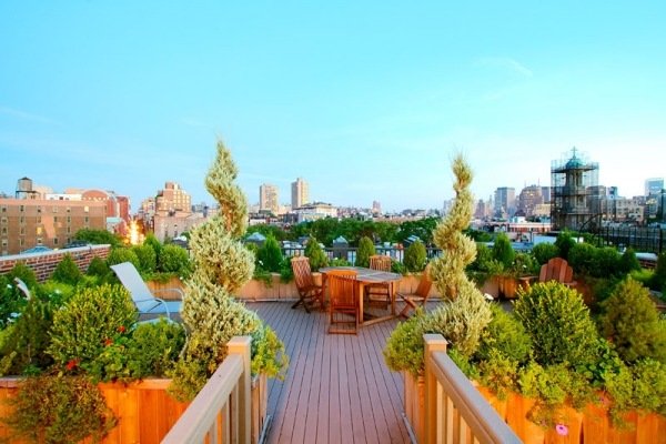 سقف حديقة على السطح تخضير العمارة المستدامة