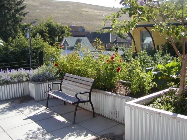 مناطق النبات شرفة سطح الشرفة مقاعد البدلاء