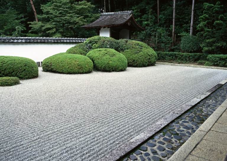 حديقة الحصى خلق النباتات المعمرة اليابانية