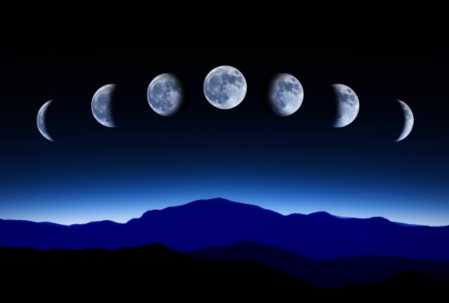 تقويم مراحل القمر يناير 2014 حمية التخلص من السموم من الجسم