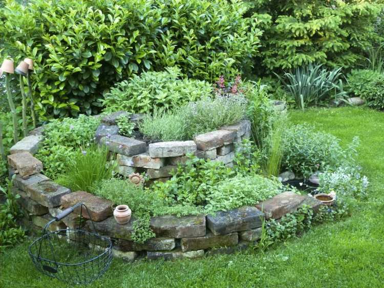 عشب-حلزوني-بناء-حديقة-تصميم-حدائق-اعشاب-نباتات-غرس-خطة