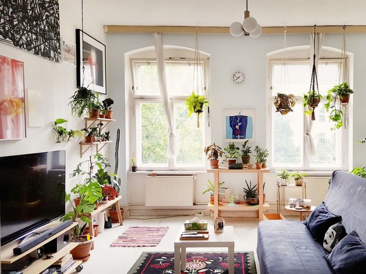 استخدم النباتات لتنظيم الرطوبة في غرفة المعيشة
