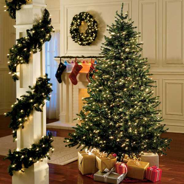 أضواء عيد الميلاد زينة شجرة عيد الميلاد أكاليل أضواء الجنية