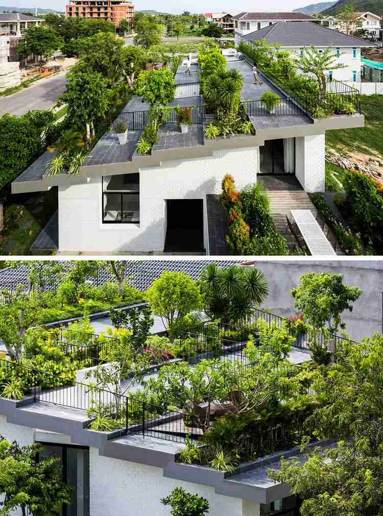 تراس السطح مع زراعة سقف حديث - حديقة - بنجر - بنترووف - سقف