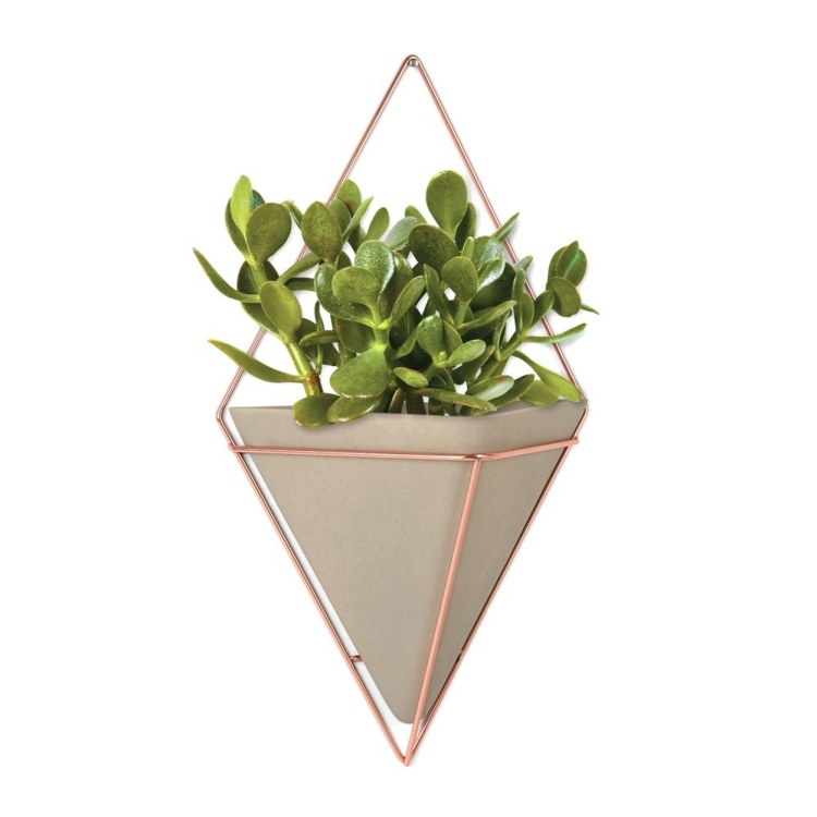 زخرفة حديثة umbra-geometric-plant-pot-frame-metal