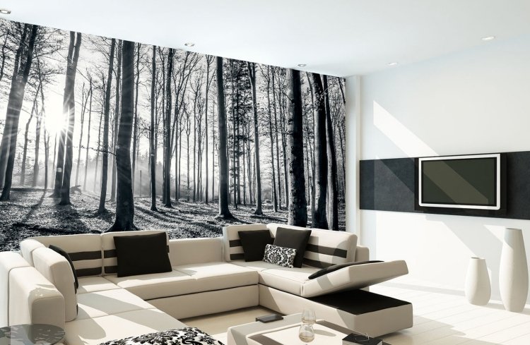 جدار-تصميم-أسود-أبيض-صور-ورق حائط-أريكة-بيج-وسادة-تلفزيون