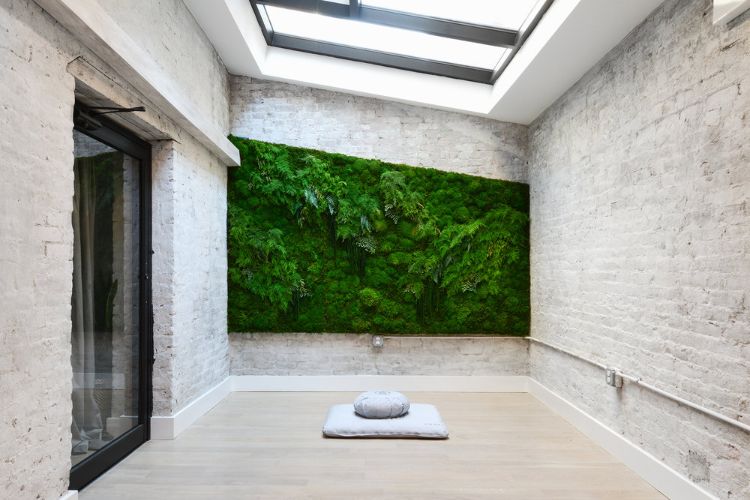 اصنع جدارًا موسيقيًا لنفسك جدار نبات الطحلب صورة الجدار الأخضر الجدار حديقة النباتات الجدار تخضير الطحلب النبات جدار من الطوب الأبيض