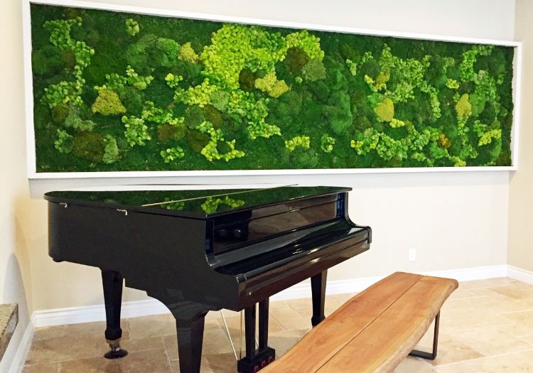 اصنعي جدارًا موسيقيًا بنفسك ، صورة نباتات الجدار الطحلب ، الجدار الأخضر ، نباتات الحديقة ، الجدار الأخضر ، الطحلب الاصطناعي الطازج ، شراء صور نباتات حقيقية