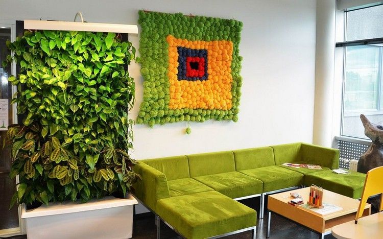 اصنع جدارًا موسيقيًا بنفسك ، صورة نباتات الجدار الطحلب ، الجدار الأخضر ، جدار حديقة النباتات ، جدار تخضير صور نباتات حقيقية تجمع بين الألوان