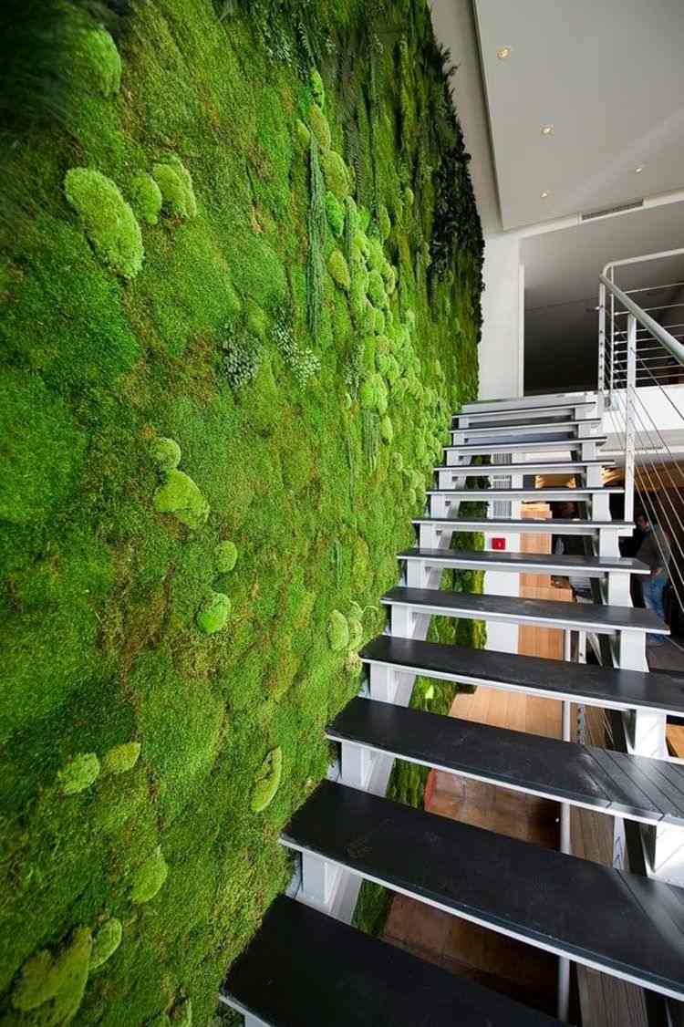 اصنع جدارًا موسيقيًا بنفسك لجدار النبات الطحلب صورة الجدار الأخضر الجدار حديقة النباتات الجدار تخضير النباتات الطحلب السلالم