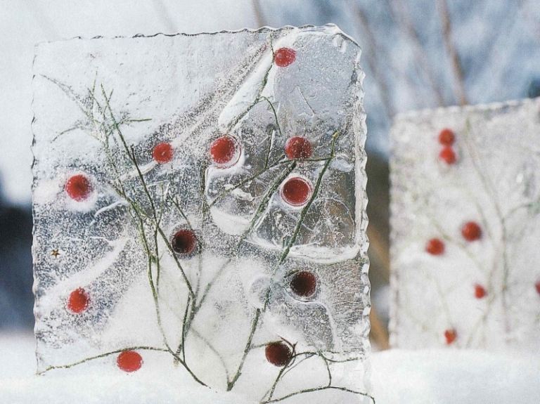 الشتاء-حديقة-الديكور-مع-الجليد-جعل نفسك-الفواكه-المجمدة-الجليد-كتلة